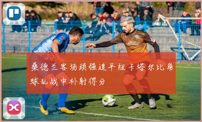 桑德兰客场顽强追平纽卡塔尔比角球乱战中补射得分